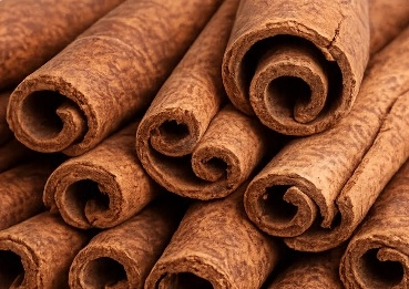 Cinnamon bark MetaBurn ingredient for energy and metabolic balance