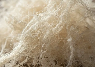 Konjac fiber MetaBurn ingredient for satiety and appetite support