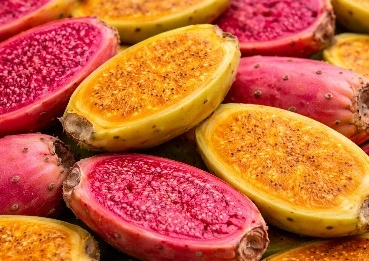 Prickly pear MetaBurn ingredient for metabolic and carbohydrate balance