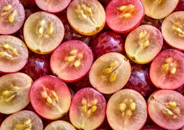 Resveratrol MetaBurn ingredient for antioxidant and cellular support
